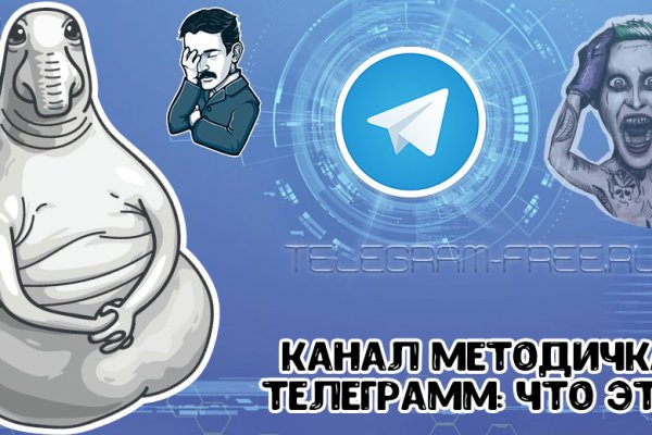 Kraken найдется все